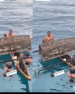 Lestarikan Warisan Leluhur, Warga Desa Daori Pertahankan Tradisi Tangkap Ikan ‘Hol’ di Laut Makian
