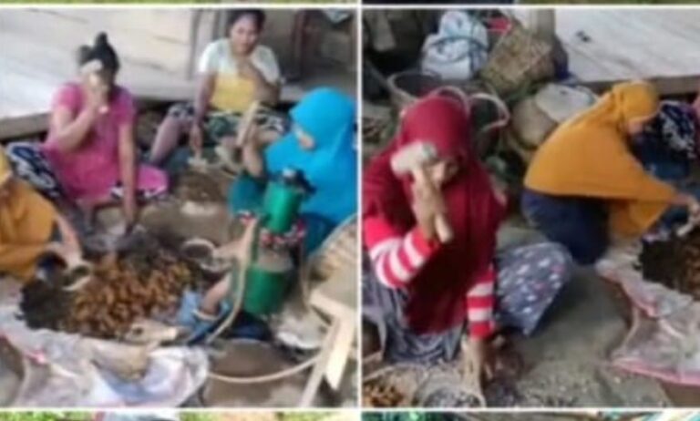 Pemerintah Diminta Wujudkan Regulasi Tambang Rakyat Demi Kesejahteraan Desa